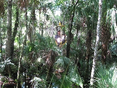 Canopy in Forever Florida
