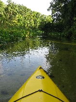 Kayak fahren in Central Florida Aussicht