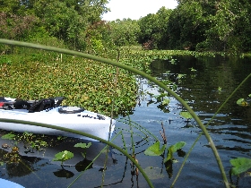 Kayak fahren in Central Florida